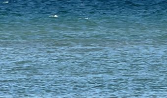 1 Wreck Rd, Alpena, MI 49707