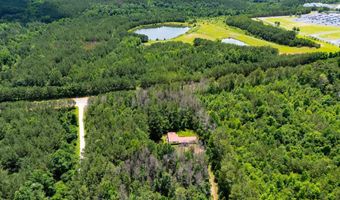 980 Dr King, Tallapoosa, GA 30176