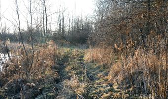 V/L Fawn Path Parcel B, Allegan, MI 49010