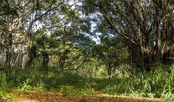 Kamehameha Highway lot 35, Haleiwa, HI 96712