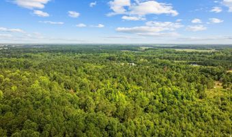 TBD Lee Ln, Bennettsville, SC 29512