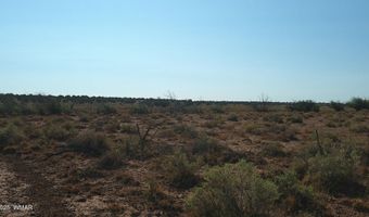 Tbd Wicked Sisters Way 38ac, Concho, AZ 85924