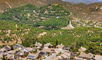 1973 Buckskin, Escondido, CA 92027