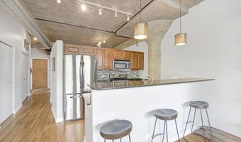 1111 W 15TH St 224, Chicago, IL 60608