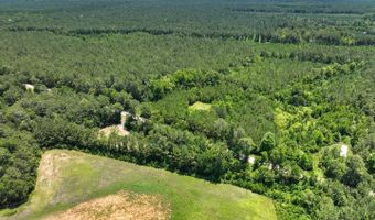 Rooks Road, Atkinson, NC 28421