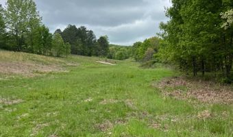 Co Rd 321 Route 5, Ava, MO 65608