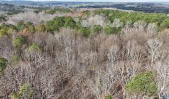 002 Toney Dr, Altoona, AL 35952
