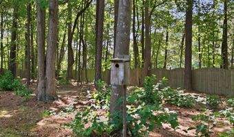 1219 Waterford Green Dr, Apex, NC 27502
