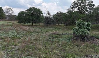1228 Morning Glory Ln, Adkins, TX 78101