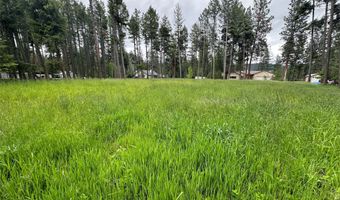 13962 Pine St, Bigfork, MT 59911