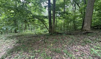 Lot 5 & 6 Lafon Road, Bath Springs, TN 38311