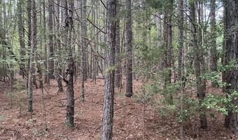 17-39 A Wendy Lane St, Amelia, VA 23002