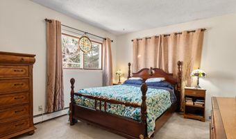 534 And 536 Spruce St 1 And 2, Aspen, CO 81611