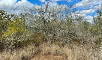 332 CR 171, Alice, TX 78332