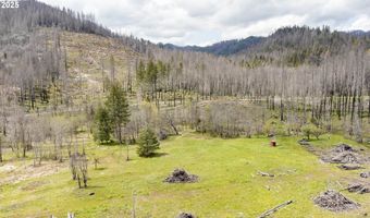 91747 BLUE RIVER RESERVOIR Rd, Blue River, OR 97413