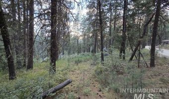 1291 Crown Point Pkwy, Cascade, ID 83611