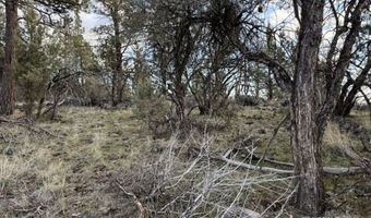 Prarie Dog Drive, Bonanza, OR 97623