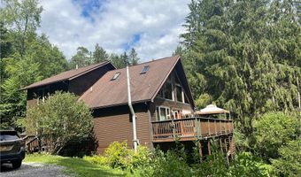 3220 Mcclure Hollow Rd, Allegany, NY 14706