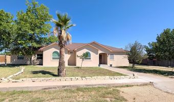 2101 Peach Tree St, Alpine, TX 79830