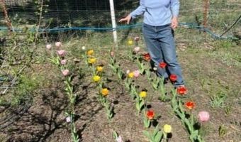 1724 Warner Mountain Rd PO Box, Alturas, CA 96101