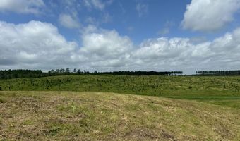 0 Otis Paine Rd, Bethel Springs, TN 38315