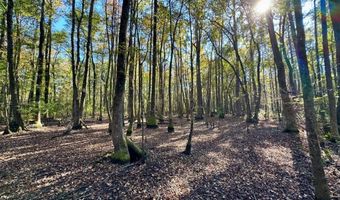 TBD Binnicker Bridge Road, Bamberg, SC 29003