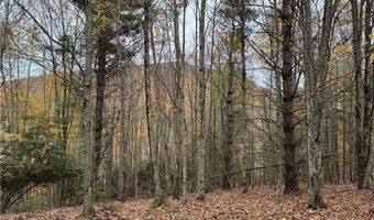 Tbd Rominger Road, Banner Elk, NC 28604