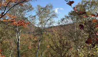 915 Wheeler Mountain Rd, Barton, VT 05822