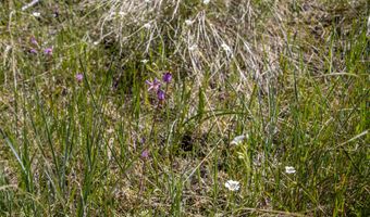 87 Rock Ridge Way, Bigfork, MT 59911