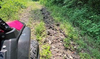 88 Acres Bolden Br, Andrews, NC 28901