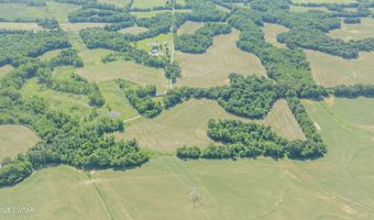 Cane Creek Road, Bells, TN 38006