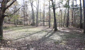 1069 Halton Ct, Brandon, MS 39047