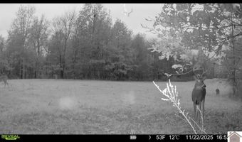 115 County Road 1039, Bardwell, KY 42023