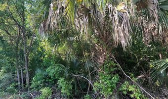 235 11th St, Apalachicola, FL 32320