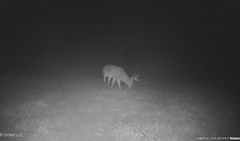 001 Farr Rd, Bolton, MS 39041