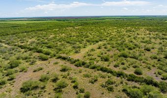 County Road 119, Alice, TX 78332