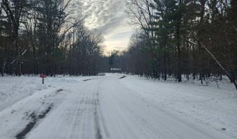 L28 And L29 S Badger Lane, Arkdale, WI 54613