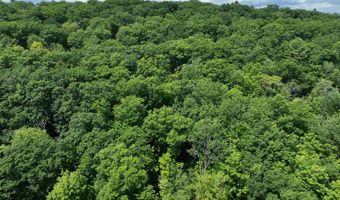 Denio Road, Barnet, VT 05821