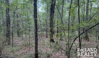 TBD-0 Yeldell Rd, Bastrop, LA 71220
