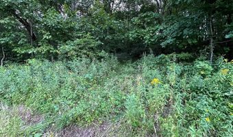 TBD Bear Pen Rd, Arkansaw, WI 54721
