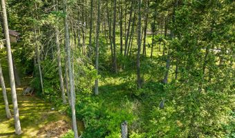 Nhn Westview Drive, Bigfork, MT 59911