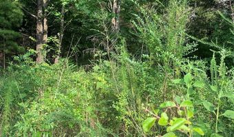 Rock House Road, Blacksburg, SC 29702