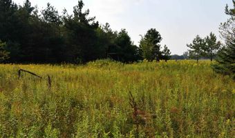 9537 LAKEVIEW Rd, Alanson, MI 49706