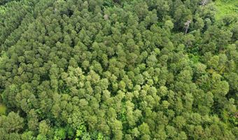 mt Olive Road, Arkadelphia, AR 71923