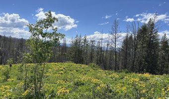 DEER HAVEN 40 AC Road, Bondurant, WY 82922