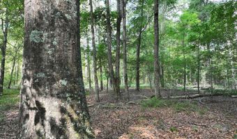 Highway 112, Abbeville, GA 31001