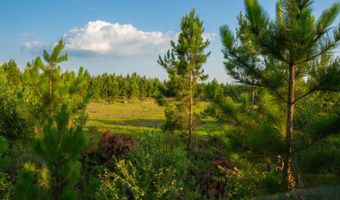 Mann Road, Arabi, GA 31712