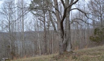 Fox Hill Road lot 4 & 5, Baxter, TN 38544