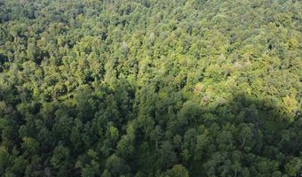 250 E Limeberry Rd, Paoli, IN 47454