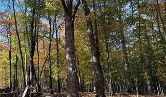 999 Porcupine Trl, Aitkin, MN 56431